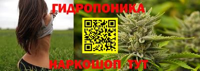 таблы Краснознаменск