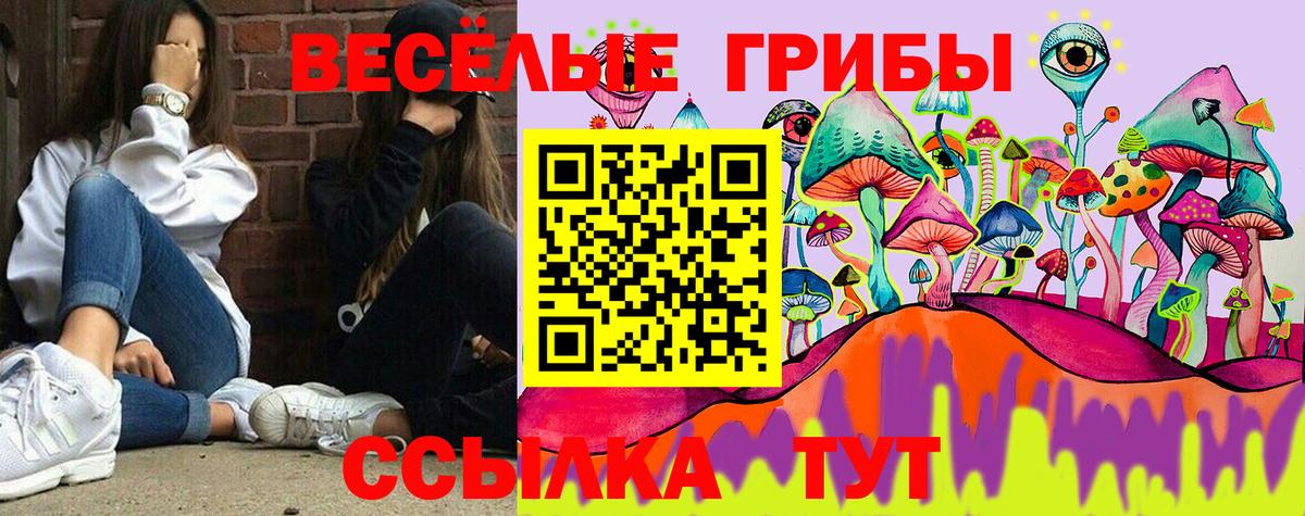 Ефремов  Псилоцибиновые грибы GOLDEN TEACHER  Вход с VPN  Псилоцибиновые грибы MAGIC MUSHROOMS 
